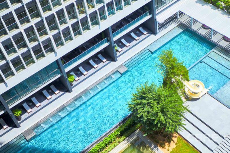 Noble ploenchit - photo 3