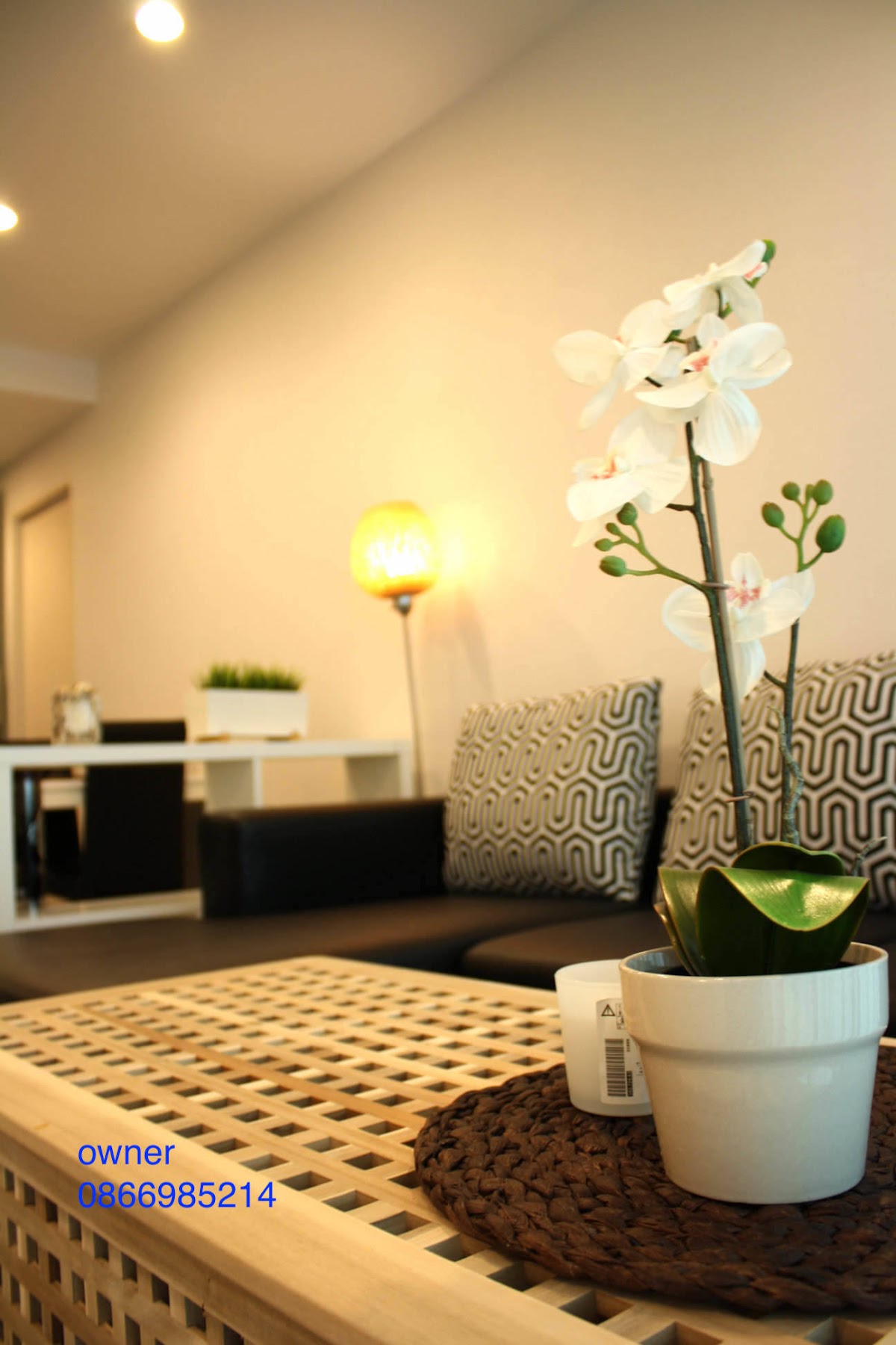 Thumbnail 13