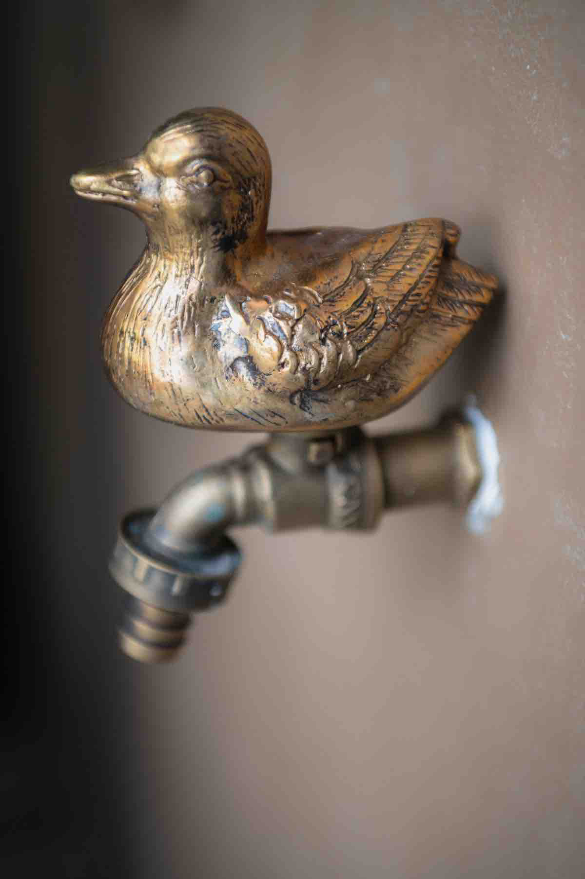 Oka Haus - photo 3