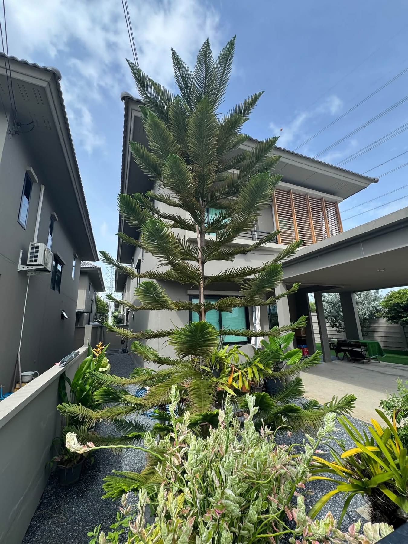 COMO Botanica Bangna - photo 2