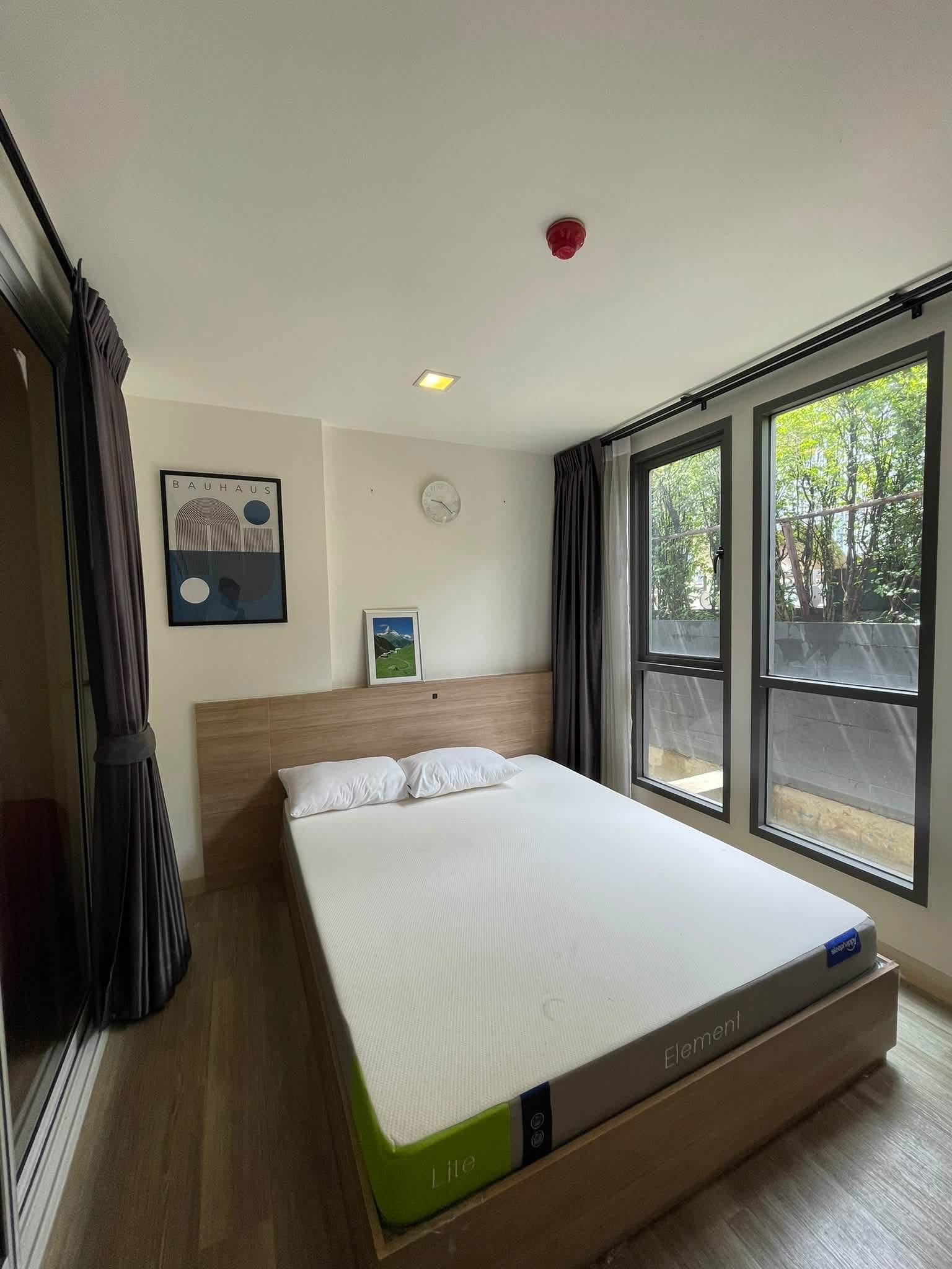 Moniq Sukhumvit 64 🌿🤍 - main photo